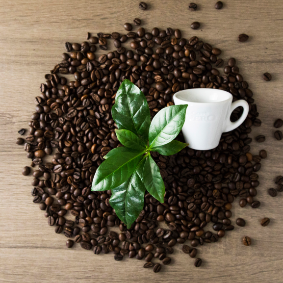 caffè-in-grani